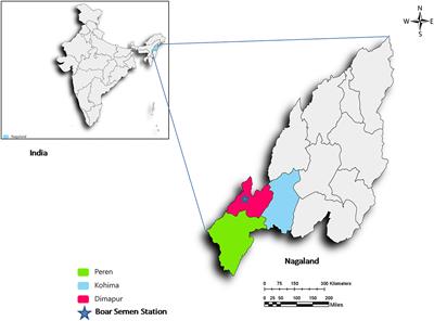Effect of artificial insemination in comparison to natural mating on the reproductive performance and profitability of smallholder pig production system in Indian Himalaya